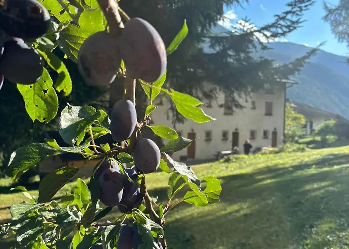 Casa Molina Temù